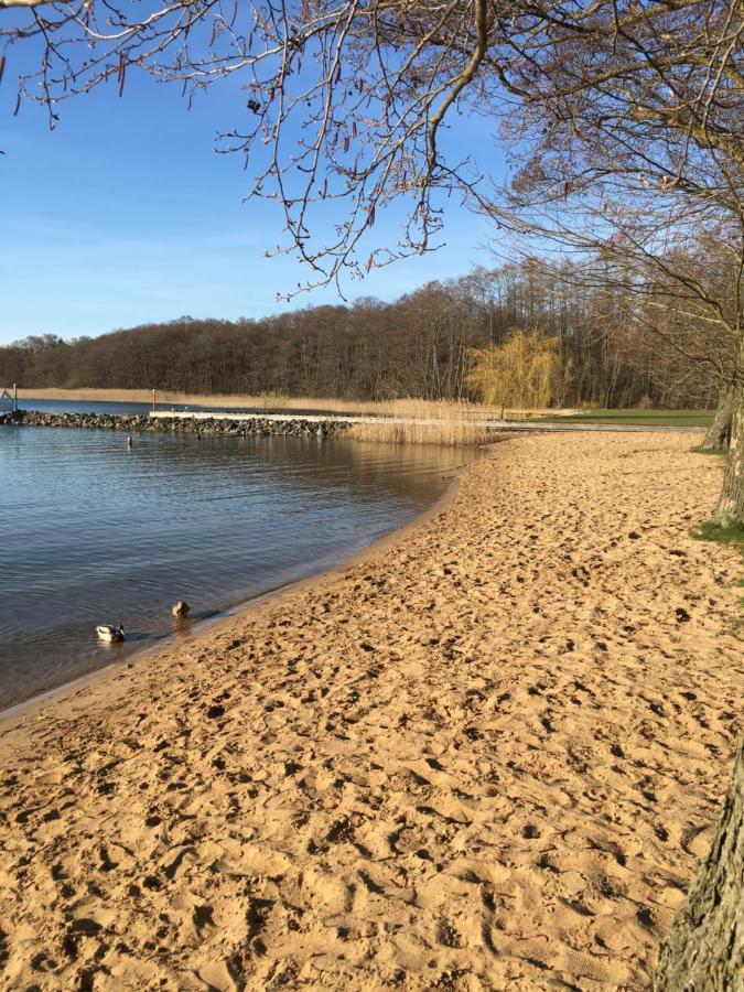 Ferienhaus Mit Bootssteg Am See In Rheinsberg Luaran gambar